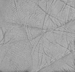 RELAST: skin structure as the basis for quantification